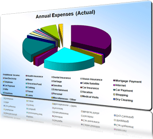 budgex expense chart